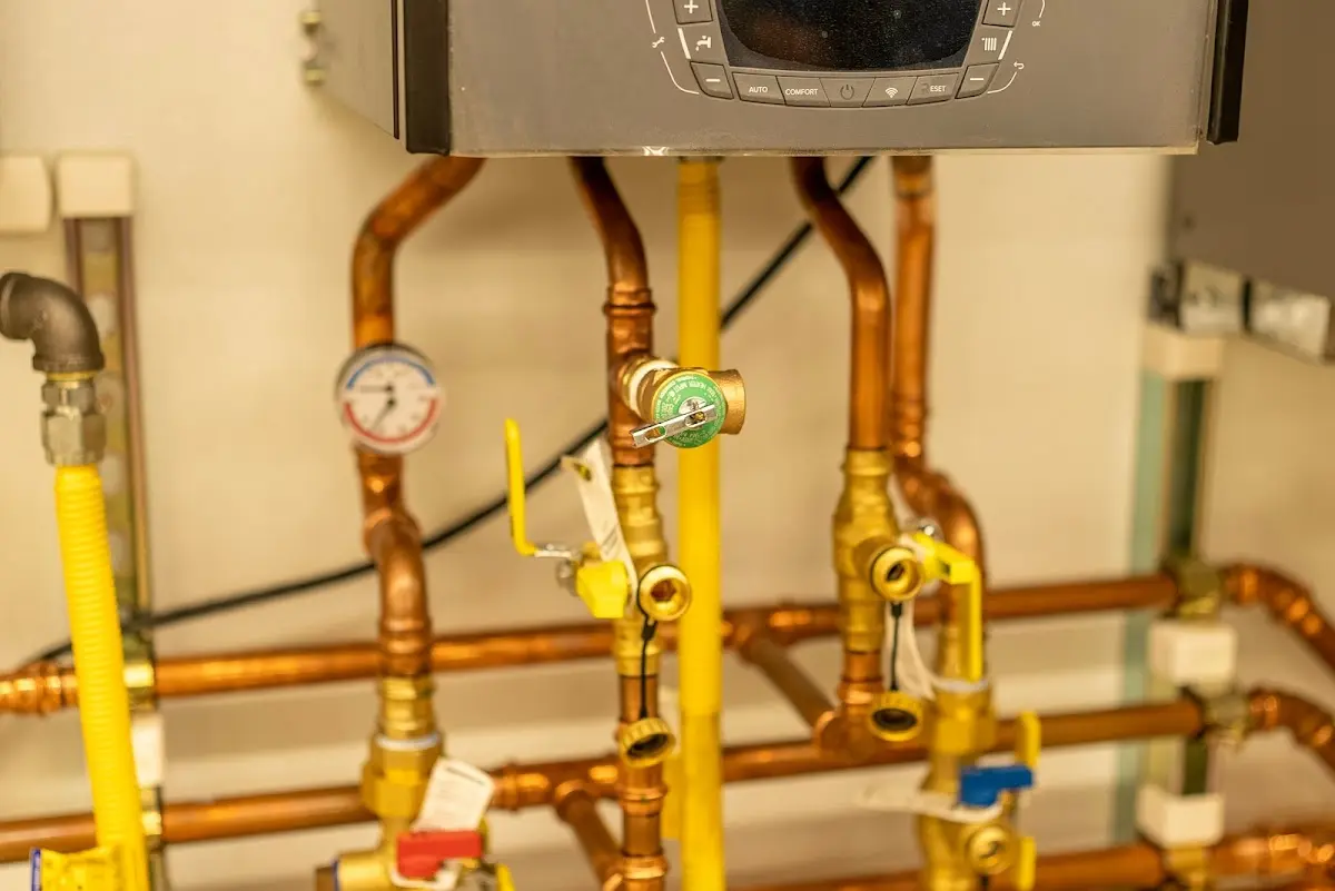 Licensed technician providing Water Heater Installation for a homeowner in Mount Pleasant